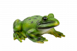 Aiakuju "Konn" Besk, 33 cm x 33 cm x 26 cm, roheline v.