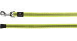 Koera rihm Flamingo Xeno 519937, kollane, 10 m x 20 mm