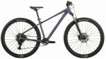Jalgratas m&auml;gi- Raymon Nayta Comp, 29 ", M raam, must v./smoke lavender v.