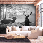 Fototapeet Artgeist Deers In The Morning, 70 cm x 100 cm