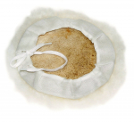 Poleerimispadi Drel, 125 mm, -