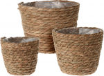 Lillepottide komplekt, merihein, 16.5 cm x 16.5 cm, pruun v., 3 tk