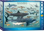 Pusle Eurographics Sharks 6000-0079, 67.6 cm x 48.9 cm, 1000 tk, mitmev&auml;rviline