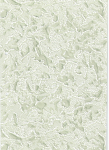 Tapeet ANTARCTICA B77.4, 5093-04, akr&uuml;&uuml;l, roheline v.