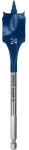 Puur Bosch Expert, puit, sulg-, hex 1/4, 24 mm x 15.2 cm