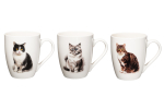 Tass 4Living Cat 653131, (v&auml;rv/disain valitakse juhuslikult), 0.34 l