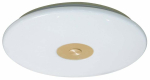 Valgusti plafoon CristalRecord Pro 28-502-50-500, LED, 2700 - 6500 &deg;K, 1 x 50 W, kuldne v./valge v. / valge v., 50 x 50 cm