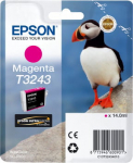 Tindiprinteri kassett Epson T3243, violetne v.