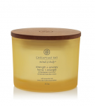 K&uuml;&uuml;nal, l&otilde;hna Chesapeake Bay Mind & Body Strength + Energy, 28 h, 0.312 g, Kollane v.