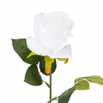 Kunstlill, roos Domoletti, valge v., 51 cm