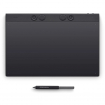 Graafikatahvel Wacom Intuos Pro Large, 377 mm x 253 mm x 7 mm, must v.