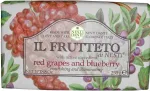 Seep Nesti Dante Il Frutteto, viinapuu, 250 g