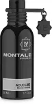 Parf&uuml;&uuml;mvesi Montale Paris Aoud Lime, 50 ml