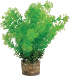 Akvaariumi dekoratsioon Zolux 353755, assortii