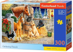 Pusle Castorland Gathering Friends 598782, 29 cm x 40 cm, 300 tk, mitmev&auml;rviline