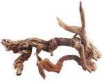 Akvaariumi dekoratsioon Terra Natura 42005, pruun v., 30 cm