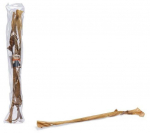 Koeramaius Beeztees Beef Head Skin 782395, lehmanahk, 3 tk