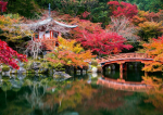 Pusle Ravensburger Ogr&oacute;d Daigo-Ji, Kyoto, Japonia, 70 cm x 50 cm, 1000 tk
