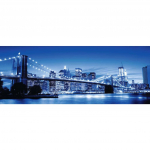 Pusle Ravensburger Panorama - Shining New York, 1000 tk