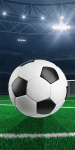 Rannar&auml;tik Jerry Fabrics Football Field, sinine v./valge v./roheline v., 140 cm x 70 cm