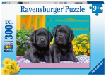 Pusle Ravensburger Puppies, 300 tk