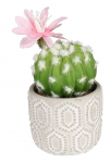 Kunsttaim potis, kaktus Splendid Cactus, roheline v./roosa v., 18 cm x 7.5 cm