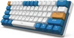 Juhtmevaba m&auml;nguklaviatuur Royal Kludge RK61 Brown switch, EN, sinine v./valge v.