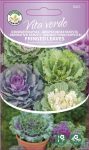 Seemned Vita Verde, kapsas Fringed Leaves Horticom Brassica Oleracea L. VAR. Acephala