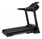 Jooksurada Zipro Pacemaker Gold, 2237 W
