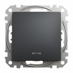 Veksel&uuml;liti, raamita, Schneider Sedna Design, must