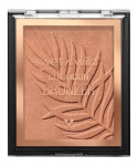 Pruunistav puuder Wet N Wild Color Icon, pruun v., ticket to brazil, 11 g