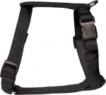 Koerte traksid Zolux Cushion, must