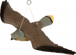 Aiakuju "Lind" Greenmill Falcon Windhover, 36 cm x 53 cm x 8 cm, pruun v.