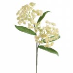 Kunstlill Flore 859, kreemjasvalge, 73 cm x 20 cm
