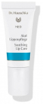 Huulev&auml;rvi alus Dr.Hauschka Med Labimint Acute Lip Care, 5 ml, soothing lip care