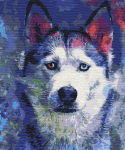 Maalimine numbrite j&auml;rgi Paint it! Husky Look, mitmev&auml;rviline