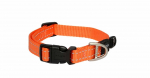 Kaelarihm koertele Rogz Utility Classic, oranž, 200 - 310 mm x 11 mm, 20-31
