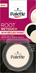 Pulber juuksejuurtele Schwarzkopf Palette Root Retouch, must