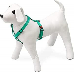 Koerte traksid Beeztees, m&uuml;nt (mint) v., 650 - 1000 mm x 25 mm, 65-100 cm