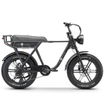 Elektriratas Ape Ryder A10, L, 20", 250 W, 10 Ah, must