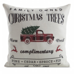 J&otilde;ulu dekoratiivne padjakate, valge/must/punane, 45 cm x 45 cm