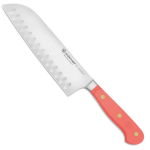 Jaapani stiilis nuga Wusthof Classic Colour, 303 mm, teras