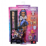Nukk aksessuaaridega Mattel Monster High Robecca Steam JMB81, 28 cm, must v.