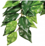 Akvaariumi dekoratsioon Exo Terra Ficus 012856, roheline v., 70 cm, L