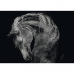 Pusle Schmidt Ashley Rader: Power - Horse, In The Sign Of Strength, 1000 tk