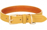 Kaelarihm koertele Flamingo Virginia, kollane, 380 - 480 mm x 25 mm, M/L