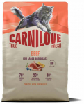 Kuiv kassitoit Carnilove True Fresh Beef Large Breed, veiseliha, 2 kg