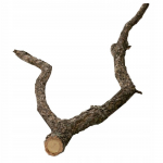 Akvaariumi dekoratsioon Terra Natura TN-44046, pruun v., 50 cm