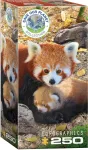 Pusle Eurographics Save Our Planet Red Pandas 8251-5557, 48.2 cm x 33 cm, 250 tk, mitmev&auml;rviline