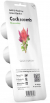 Nutiaia seemned Click & Grow, celosia kamm, 40 g, 3 tk